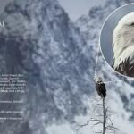 Portable ON1 Resize AI 2026.3 v20.3.1.18535 (x64) Multilingual + Models