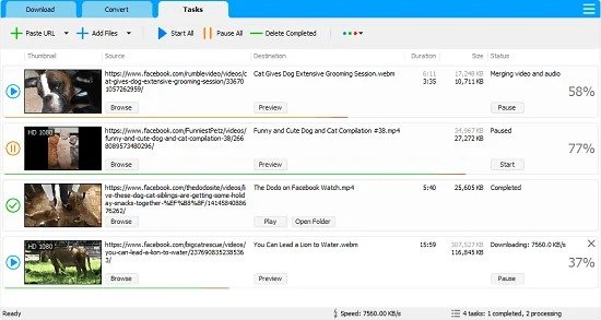 Portable Social Media Downloader 8.2.5