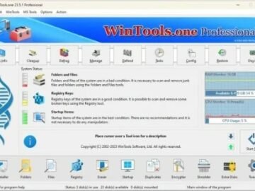 Portable WinTools.one Professional 26.3.1 Multilingual